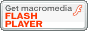 Flash Player 8